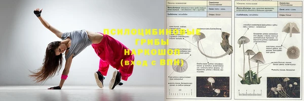 стафф Балабаново