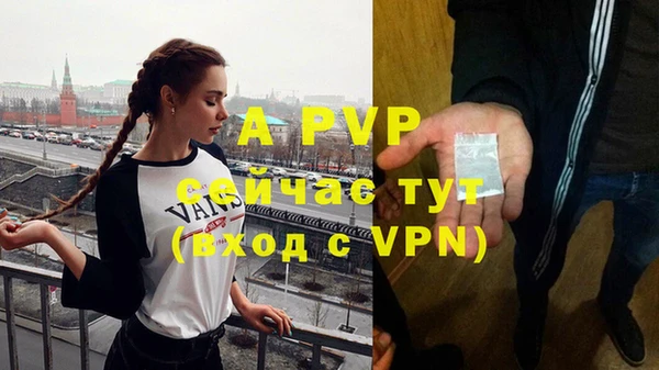 сатива Беломорск