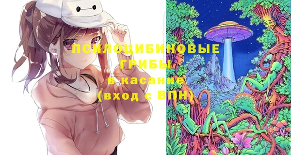 2c-b Алзамай