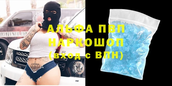 мдпв Инта