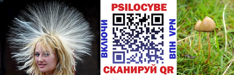 Галлюциногенные грибы Cubensis  Кологрив 