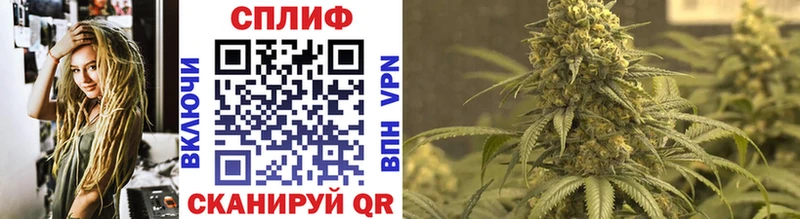 где можно купить   Кологрив  Бошки Шишки White Widow 